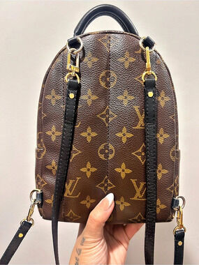 Louis Vuitton Palm Springs Mini Backpack in Brown & Black
